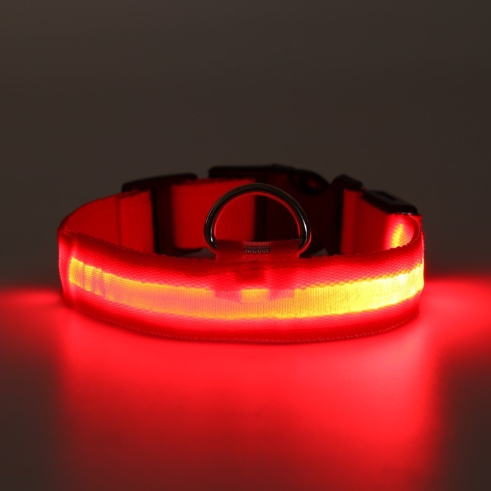 Ошейник с подсветкой размер L, ОШ 45-52 х 2,5 см, 3 режима свечения красный Ошейник с подсветкой размер L, ОШ 45-52 х 2,5 см, 3 режима свечения красный