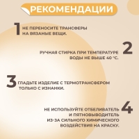 Термотрансфер «Дракон», 16,7 × 19,5 см, цена за 1 штуку