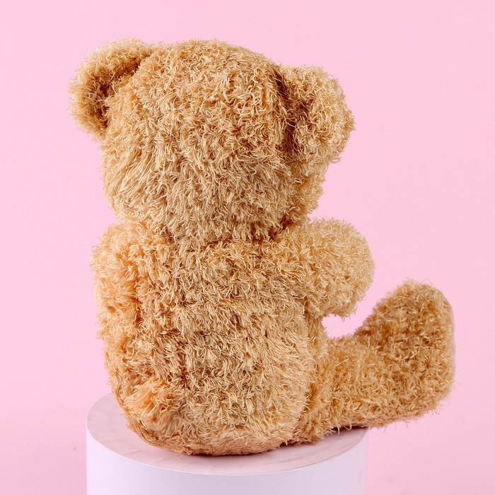 Мягкая игрушка «Ты лучше всех», медведь, цвета МИКС