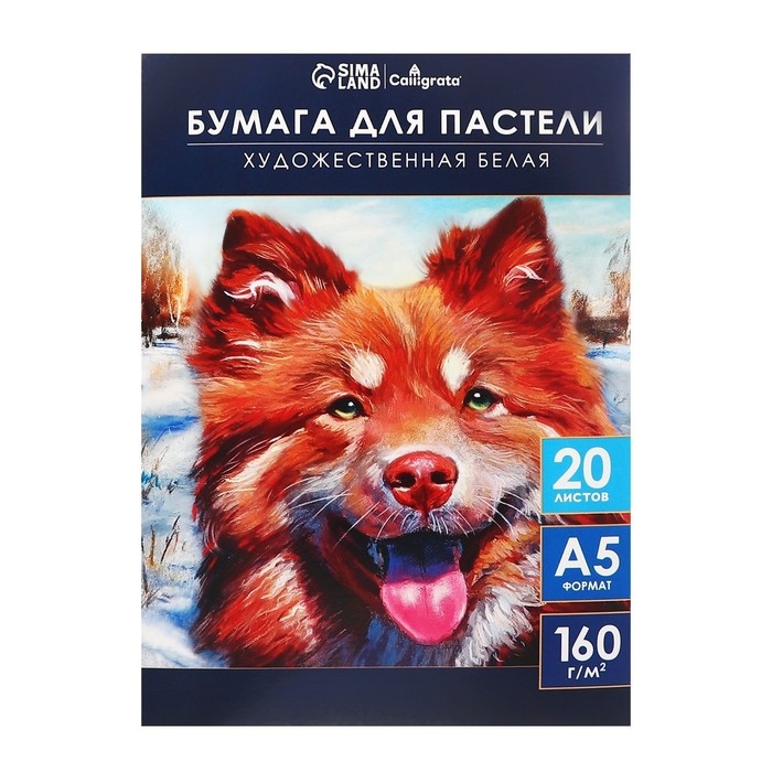 Бумага для пастели А5, 20 листов  Бумага для пастели А5, 20 листов "Собака", блок 160 г/м2, в папке