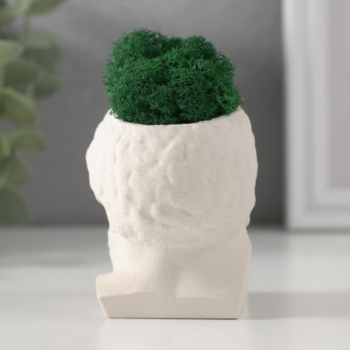 Кашпо бетонное  Кашпо бетонное "Прометей" высота 6,5 см, ширина 5 см белый со мхом (мох зелен. стабилизир)