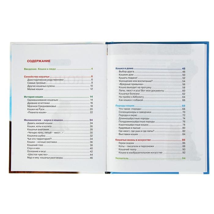 Детская энциклопедия «Кошки» Детская энциклопедия «Кошки»