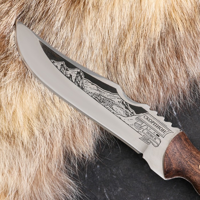 Нож кавказский, туристический Нож кавказский, туристический "Скорпион" с ножнами, сталь - 40х13, вощеный орех, 14 см