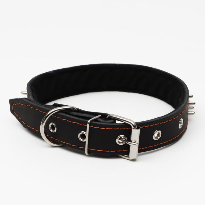 Ошейник кожаный на синтепоне  Ошейник кожаный на синтепоне "Ёж", 64 х 3 см, ОШ 40-55 см, чёрный