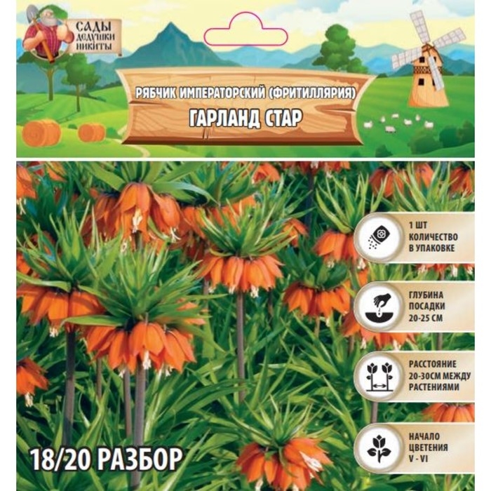 Рябчик императорский (Фритиллярия) Гарланд Стар, р-р 18/20, 1 шт, Осень 2024 Рябчик императорский (Фритиллярия) Гарланд Стар, р-р 18/20, 1 шт, Осень 2024