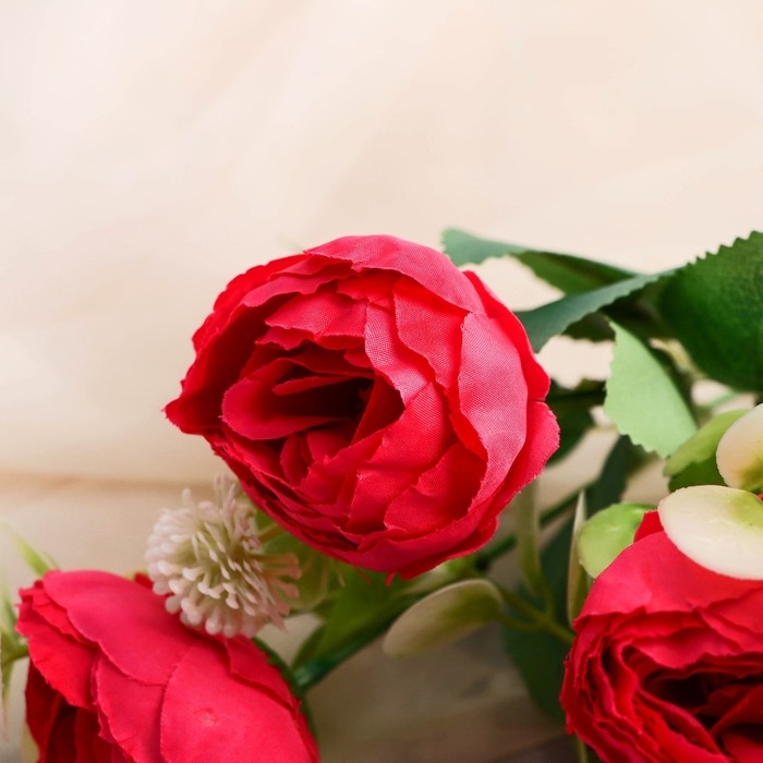 Букет Букет "Пион Бамби" 5х30 см, микс