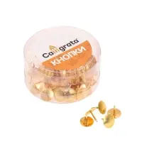 Кнопки канцелярские 12 мм., в картонной коробке, 50 штук, золотистые Кнопки канцелярские 12 мм., в картонной коробке, 50 штук, золотистые