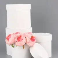 Набор шляпных коробок 4 в 1 "Белизна",20 х 19,5 ‒13 х 13 см Набор шляпных коробок 4 в 1 "Белизна",20 х 19,5 ‒13 х 13 см