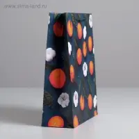 Пакет подарочный новогодний ламинированный «Счастья в Новом году», ML 23 x 27 х 8 см