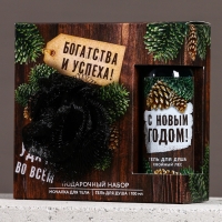 Набор "Богатства и успеха", мини гель для душа и мочалка