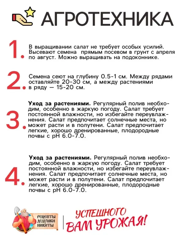 Семена Салат  Семена Салат "Букет", 0,5 г