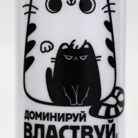 Бутылка для воды пластиковая &laquo;Обнимай и властвуй&raquo;, 700 мл