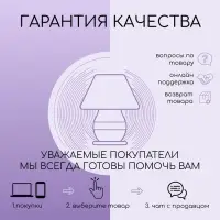 Лампа настольная 32006/1 E14 40 Вт фиолетовый 17&times;17&times;24 см RISALUX