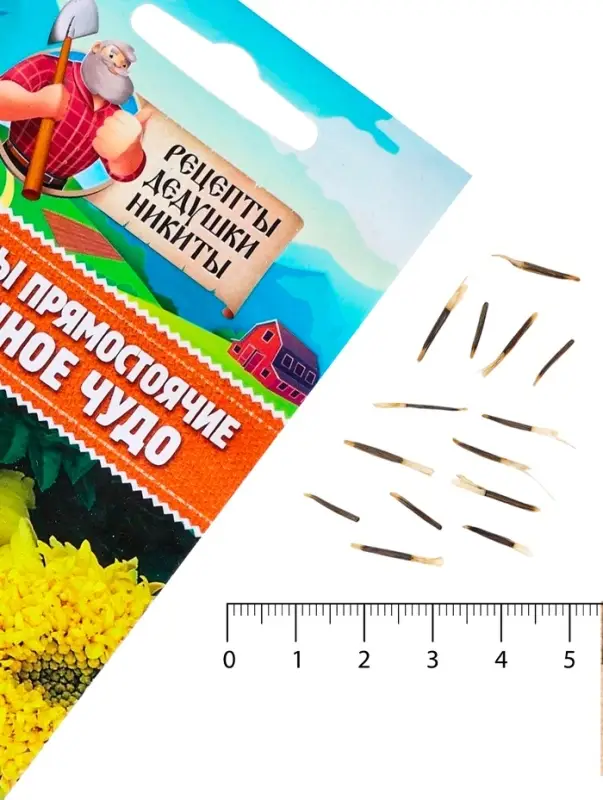 Семена цветов Бархатцы прямостоячие  Семена цветов Бархатцы прямостоячие "Лимонное чудо", 0,3 г