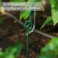 Колышек для подвязки растений, h=60 см, d=3 мм см, проволочный, зелёный, Greengo