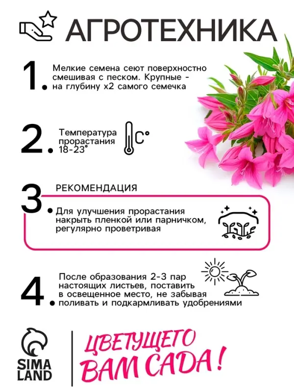 Семена цветов лобелия &laquo;Розамунда&raquo;, 5 шт.