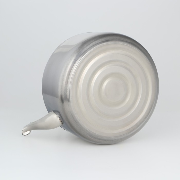 Чайник со свистком из нержавеющей стали, 6 л, цвет хромированный Чайник со свистком из нержавеющей стали, 6 л, цвет хромированный