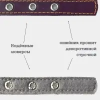 Ошейник, 50&times;2.5 см, подклад из ватина, кожа, фиолетовый