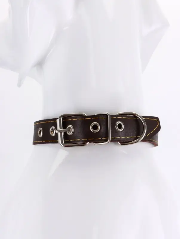 Ошейник однослойный Ошейник однослойный "Красотка", 2.5 см, тиснение фольгой, микс цветов