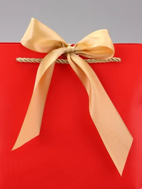 Пакет подарочный ламинированный, с лентой &laquo;Красный&raquo;, горизонтальный, 19&times;20&times;9 см