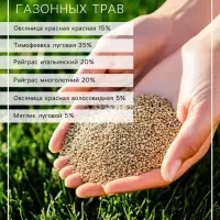Газон Теневой &laquo;Зеленый квадрат&raquo;, 30 г