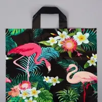 Пакет с петлевой ручкой "Фламинго" 35 х 30 х 8, см, 60 мкм