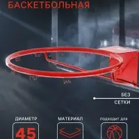 Корзина баскетбольная №7, d=450 мм, стандартная, без сетки
