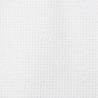 Салфетки бумажные FOCUS белые 20х24см 1сл 100шт/уп