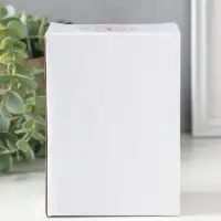 Сувенир полистоун "Мышка-пекарь в тёмном платье, с хлебом" 6х4,5х13 см