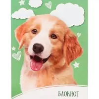 Блокнот Calligrata &laquo;Домашние животные&raquo;, А6, 24 листа, на скрепке, обложка из мелованного картона, МИКС