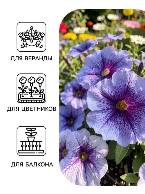 Семена Цветов Петуния &laquo;Мираж Лавандер&raquo;, 10 шт.