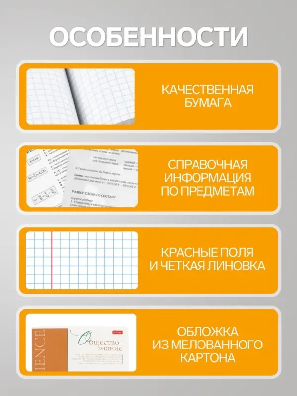 Предметная тетрадь по обществознанию Hatber &laquo;Буквица&raquo;, 48 листов, в клетку, со справочным материалом, обложка из мелованного картона