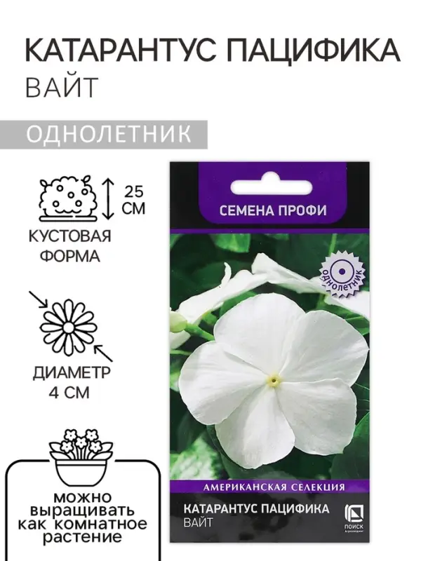 Семена цветов Катарантус Пацифика "Вайт"  10 шт