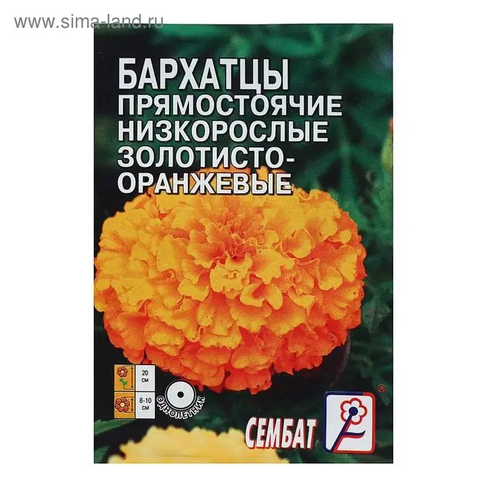 Семена цветов Бархатцы прямостоячий низкорослый золотисто-оранжевый, О, 0,1 г