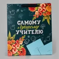 Пакеты подарочные &laquo;Учителю&raquo;, набор 3 шт., 26&times;30&times;9 см