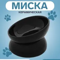 Миска &laquo;Фен шуй&raquo;,150 мл, 13&times;13&times;9 см, керамика, чёрная