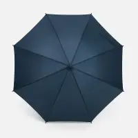 Зонт-трость Jolly Brolly, темно-синий