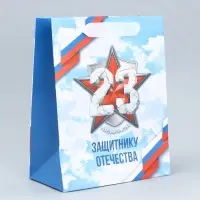 Пакет подарочный ламинированный, упаковка, &laquo;С 23 февраля&raquo;, MS 18&times;23&times;10 см