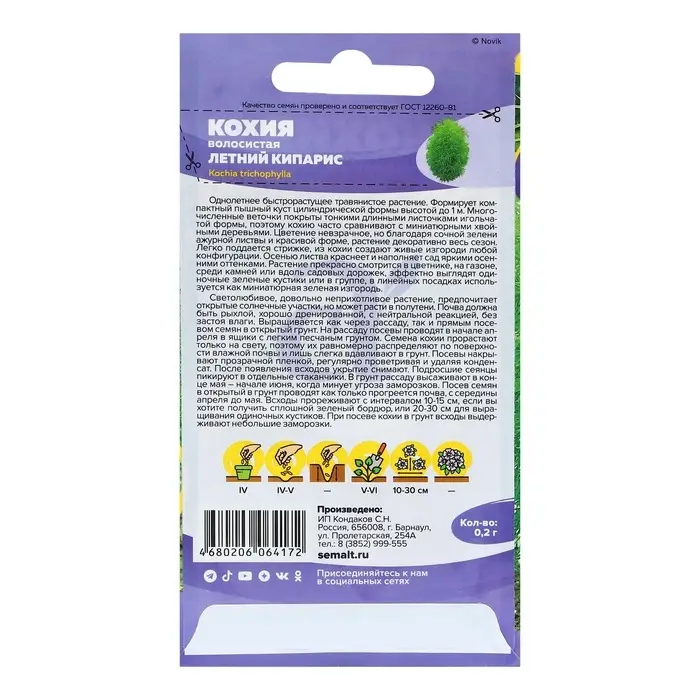 Семена цветов Кохия «Летний Кипарис», 0.2 г, «Семена Алтая»