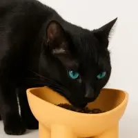 Миска для животных &laquo;БЕГЕМОТ&raquo;, 300 мл, покрытие софт-тач, пластик банановый