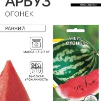 Семена Арбуз &laquo;Огонек&raquo;, 10 шт., скороспелый, &laquo;Агрэкс&raquo;
