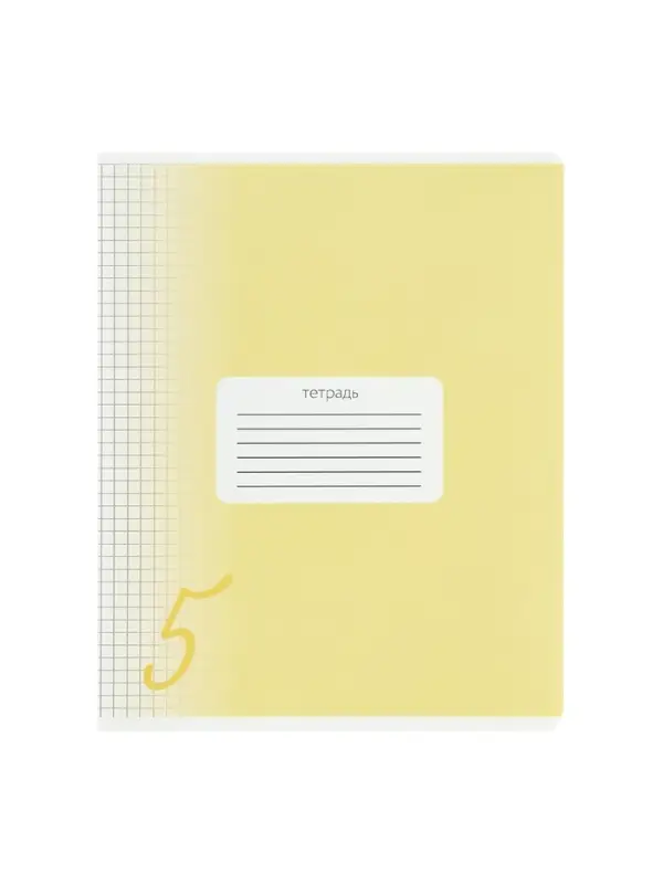 Комплект тетрадей из 10 штук, 18 листов в клетку Calligrata "Пятёрка", обложка мелованный картон, ВД-лак, блок офсет, 5 видов по 2 штуки