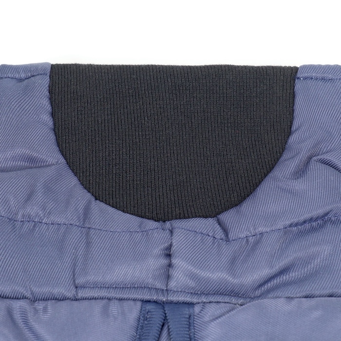 Попона для больших собак, мембранная ткань,  размер 2XL (ДС 43, ОШ 46, ОГ 62-68 см), синяя