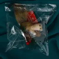 Украшение ёлочное "Бельчонок на веточке" 7,5х12 см, бежевый