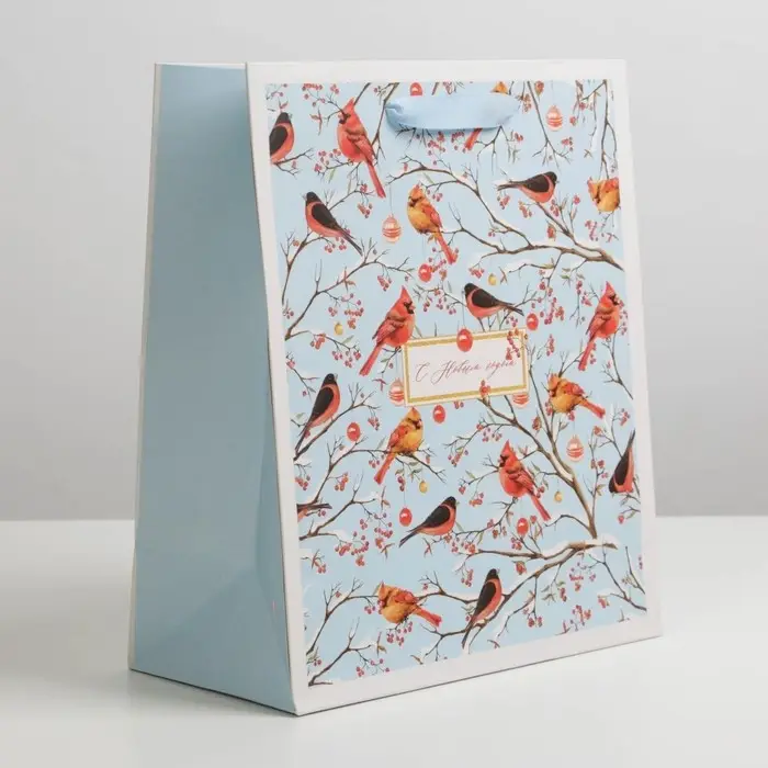 Пакет подарочный новогодний ламинированный «Морозное утро», ML 23 х 27 х 11.5 см Пакет подарочный новогодний ламинированный «Морозное утро», ML 23 х 27 х 11.5 см