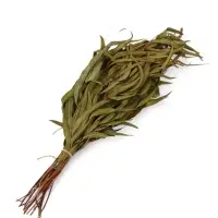 Веник для бани, эвкалиптовый, в еврослоте, &laquo;Добропаровъ&raquo;