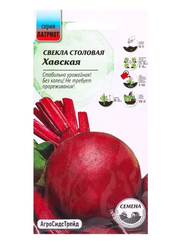 Семена Свекла &laquo;Хавская&raquo; 2 г