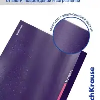 Набор предметных тетрадей ErichKrause Indigo, 12 предметов, 48 листов, с пластиковой обложкой