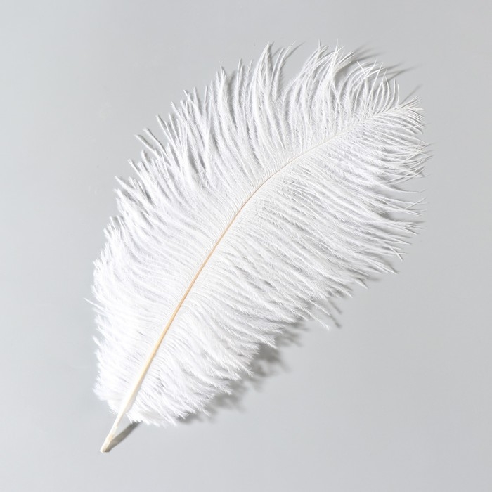 Перо страуса 25-30 см, белый
