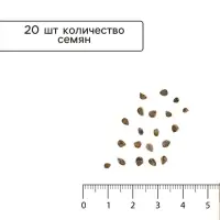 Семена Томат &laquo;Абруццо&raquo;, индетерминантный, высокорослый, 20 шт., &laquo;АЭЛИТА&raquo;